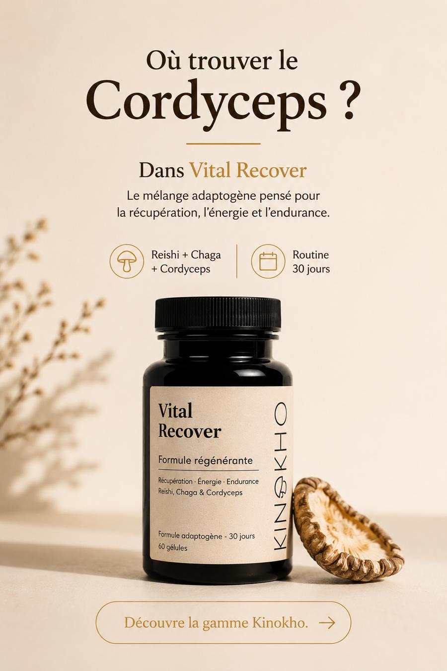 Visuel de campagne Kinokho, compléments bien-être, image ia 6